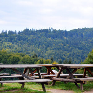 TORNARE A VIVERE LA MONTAGNA