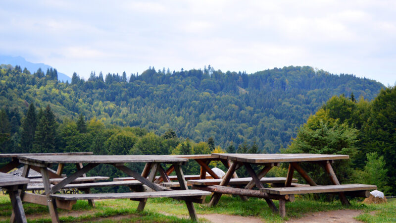 TORNARE A VIVERE LA MONTAGNA