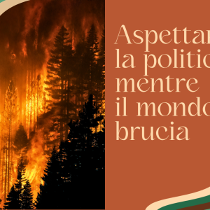 ASPETTANDO LA POLITICA, MENTRE IL MONDO BRUCIA